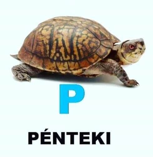 Ez a kép se mai már...