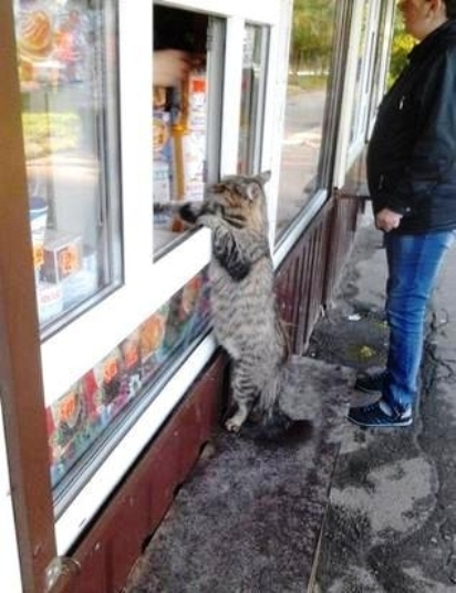 Mi az, hogy nincs egeres Orbit?