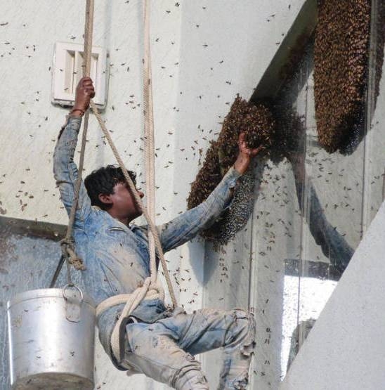 Ha panaszkodnál, hogy sz@r a melód...