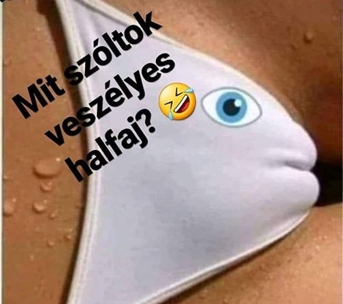 Állítólag a kifejlett példányok elnyelhetnek autót, házat bankkártyát :P