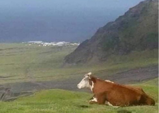 Szeretném ezt a békés életet ami neki van...