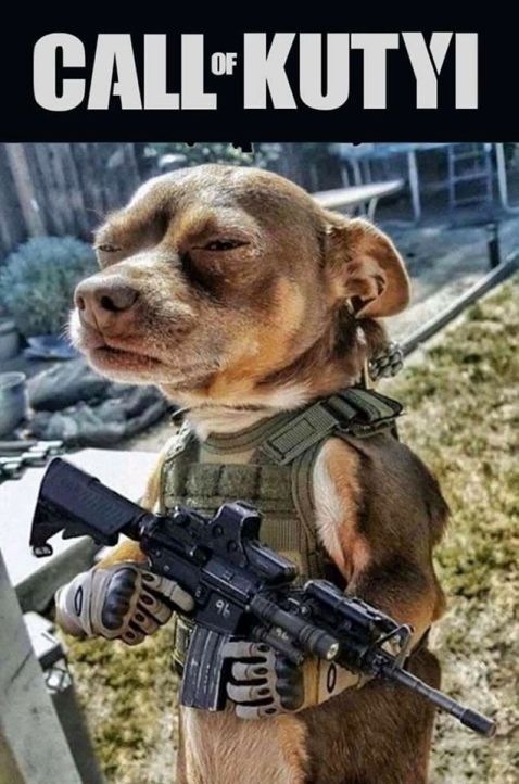 Szerda reggeli agyzsibbasztó