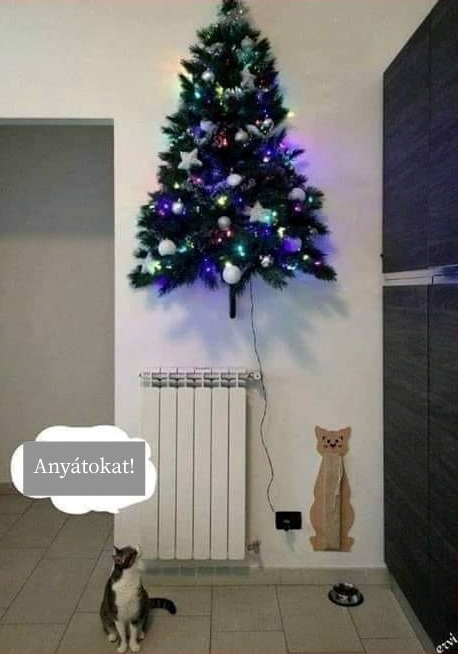 Egy macskabiztos megoldás az ünnepekre