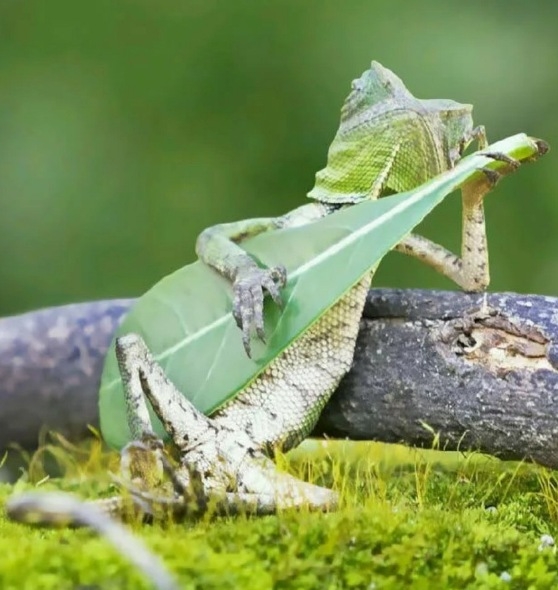 Tudjátok mit? Mindent leszarok!