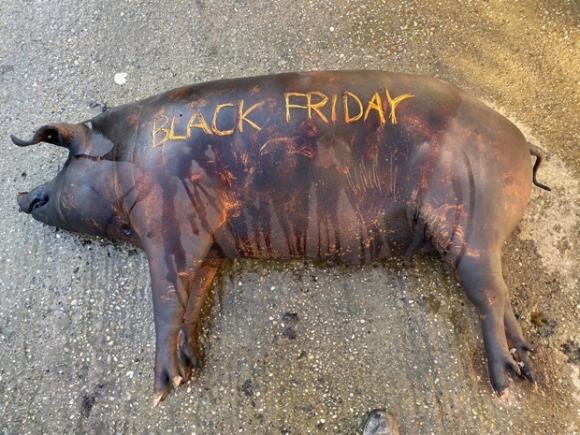 Haliho Szerkesztőség!