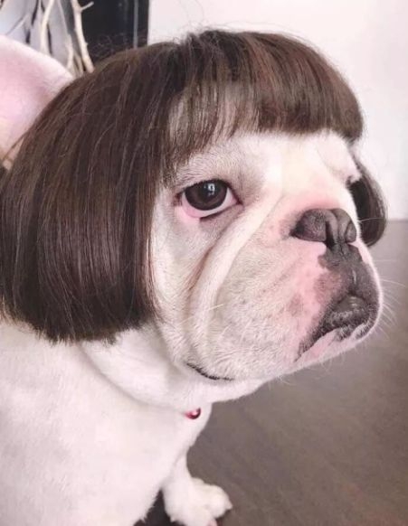 Amikor alapból nem vagy túl szép, de a fodrászod még rátesz egy lapáttal