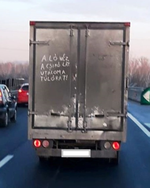 A ló néz, a csikó lát...