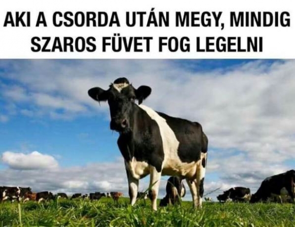 Erre majd figyelj 2020-ban is...