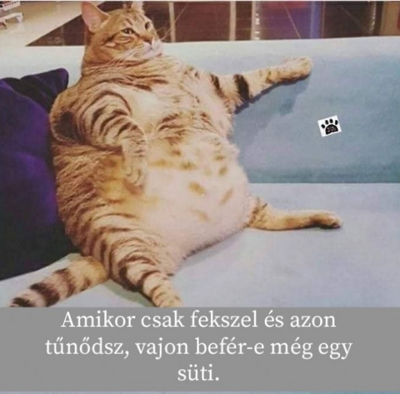 Tegnap pont így volt