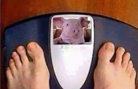 Ideje elkezdeni diétázni kicsit