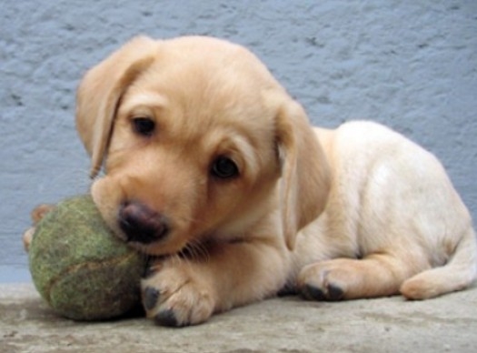 Befutott egy kérés a szilveszterrel kapcsolatban