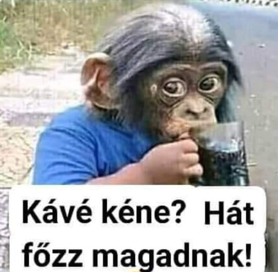 Csita kicsit szemtelen ma reggel