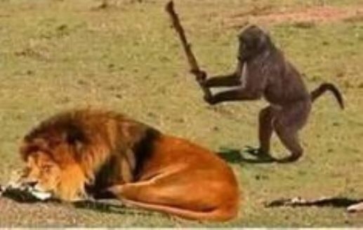 Amikor részegen elkezdesz hülyeségeket csinálni