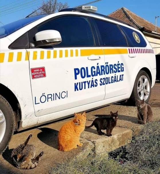 Heves megyében járunk...