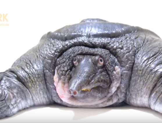 Jó reggelt mindenkinek! 🙂