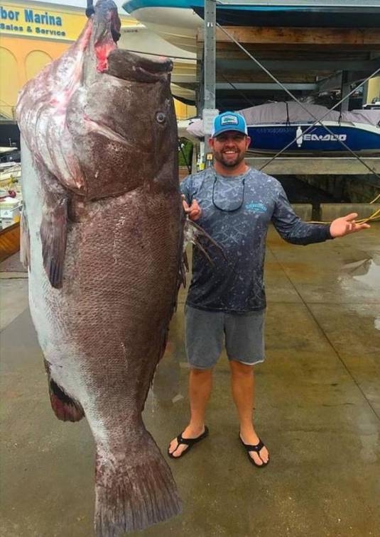 Ez aztán az igazi jófogás