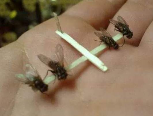 Idősapám! Egy drón kéne óccsón...