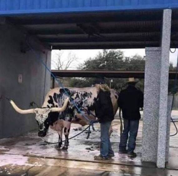 Eközben az autómosóban