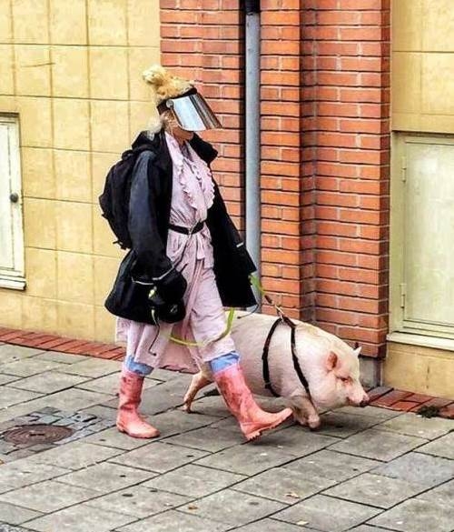 Egy kis reggeli séta