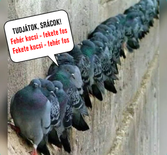 Bevetésen a csapat...