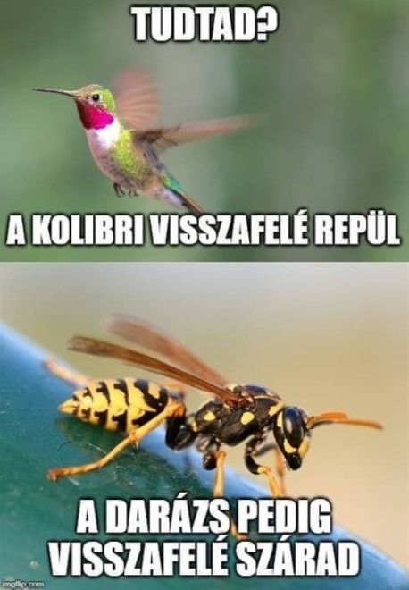 Hétvégi pihentető