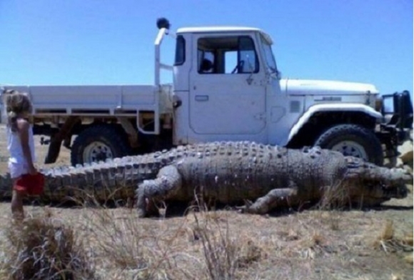 Szép példány 😮