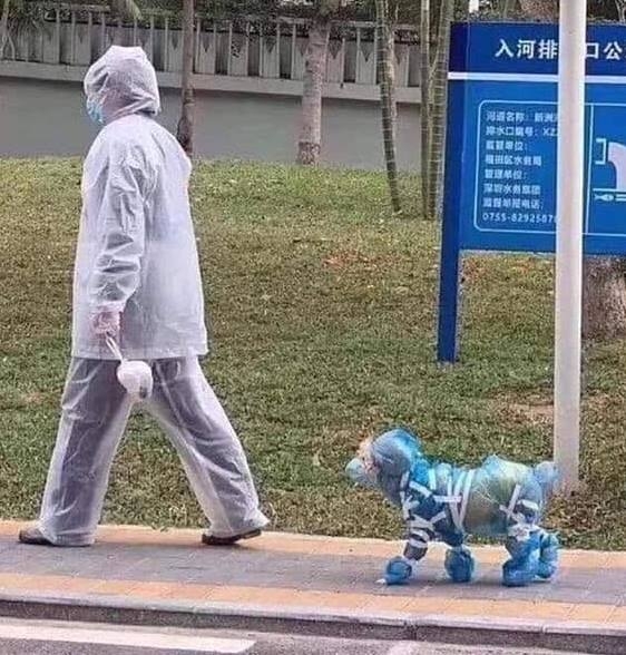 Reggeli kutyasétáltatás Kínában