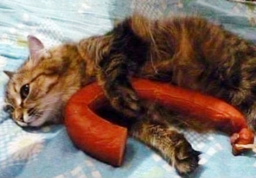 Nincs is jobb annál, mint mikor valakinek jó nagy kolbásza van...