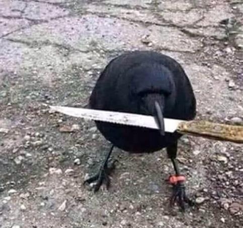 Rossz környékre tévedtél bátyja!