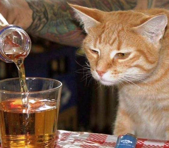 Amikor életmódot kell váltanod, mert tejérzékeny lettél!