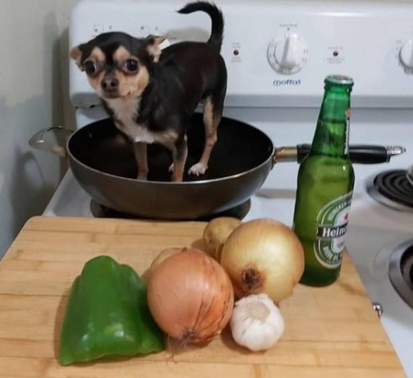 Piríts alá ember, most jöttem be a hólapátolásból