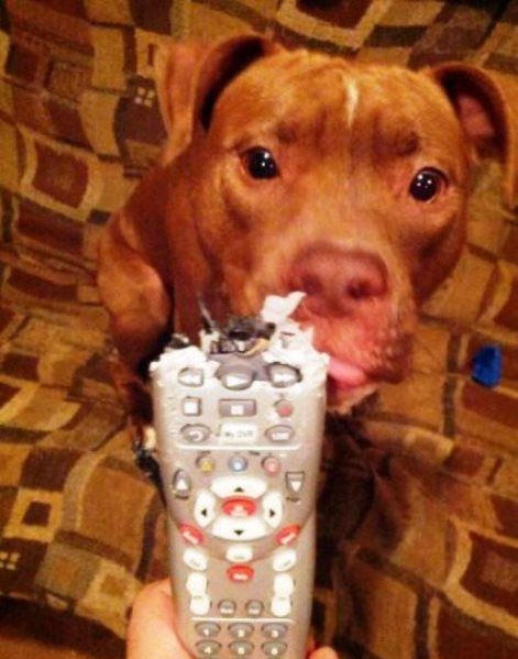 Szép munkát végzett