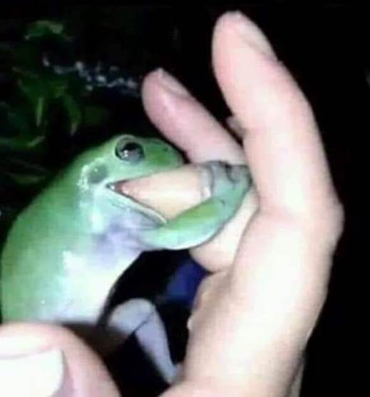 Az elvarázsolt királylány