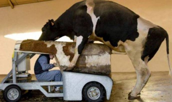 Ha panaszkodnál, hogy sz@r a melód...