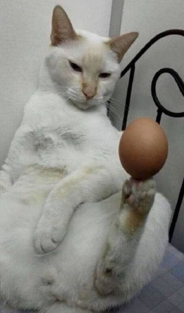 Amikor elmegy otthon a net, és nem tudsz magaddal mit kezdeni