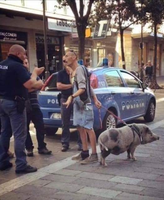 Vajon miről megy a vita? :P