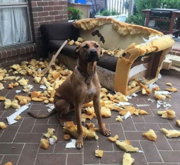 Cézár is unatkozik