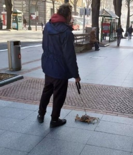 Amikor le akarsz menni sétálni, de nincs kutyád