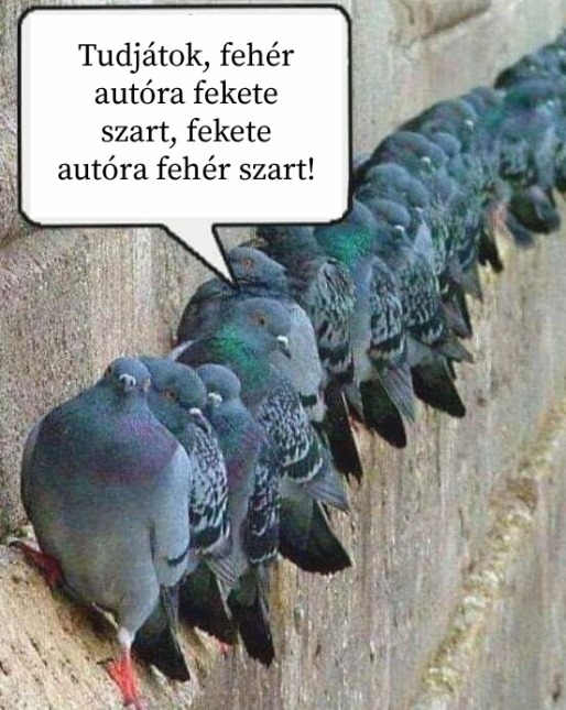 Emlékezteti a főnök a kommandós osztag tagjait