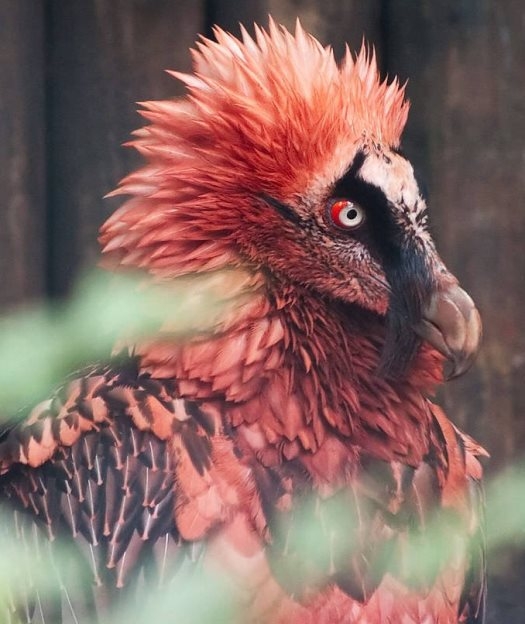 Az idegenek köztünk élnek