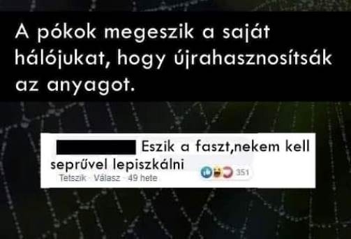 Napi top komment