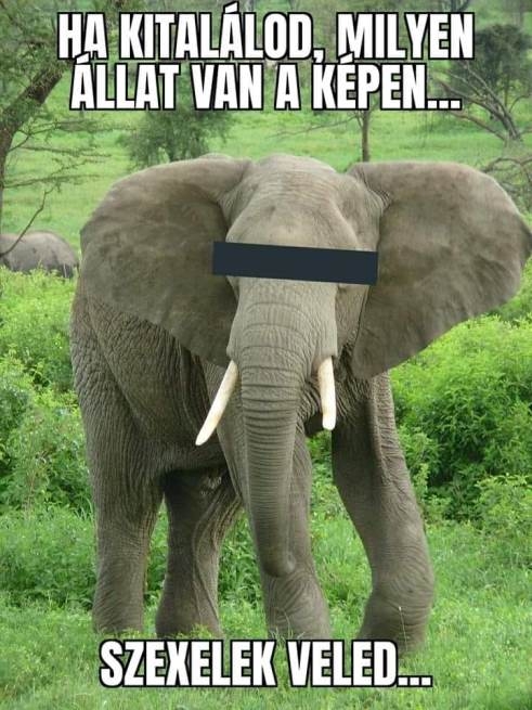 Befutott a nap ajánlata