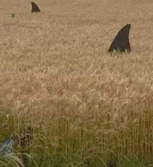 Az oké, hogy klímaváltozás van, meg minden...