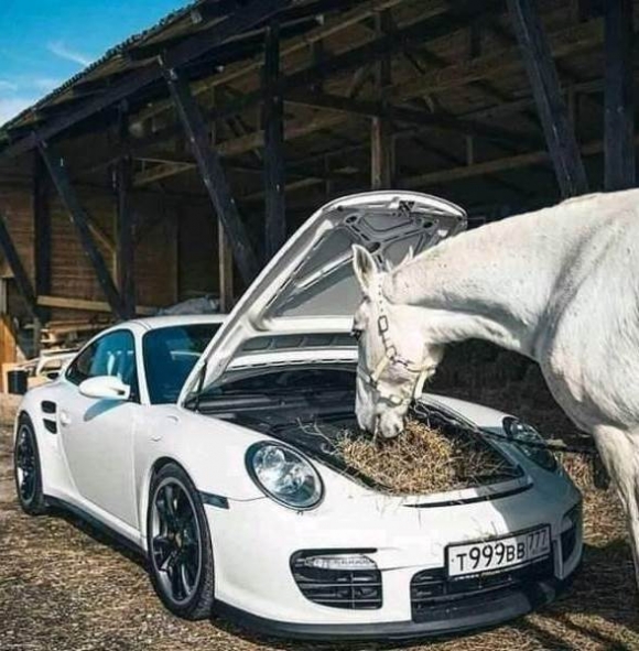 Oroszországból szeretettel