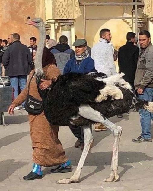 Elvitte a nagyi sétálni a kedvencét