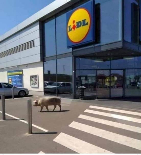 Friss árú érkezett