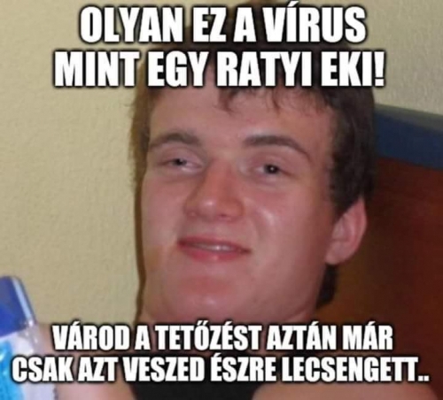 Napi tényfeltáró