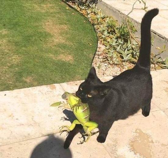 Floridában járunk...