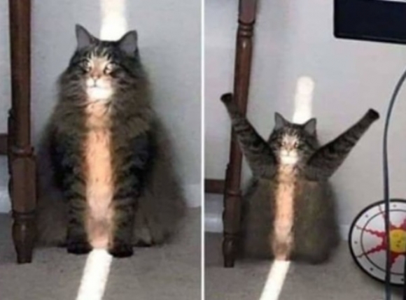 Amikor az egész életed egy káosz, aztán...