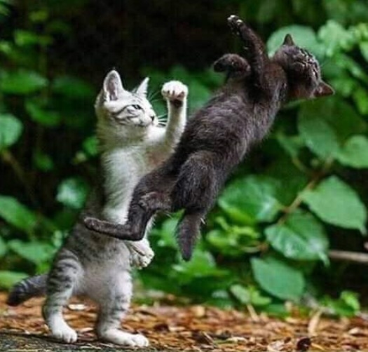 Nem megmondta Pali bácsi, hogy nem mész sehova?!